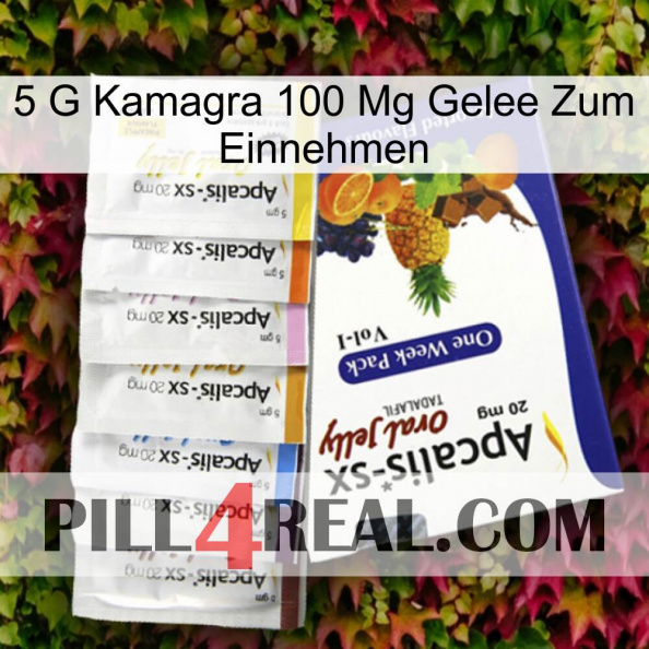 5Gm Kamagra 100Mg Oral Jelly 11